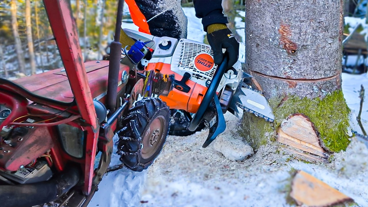 MF165 4WD Skidder Does REAL Forestry Work - Felling Trees & Skiddig Logs