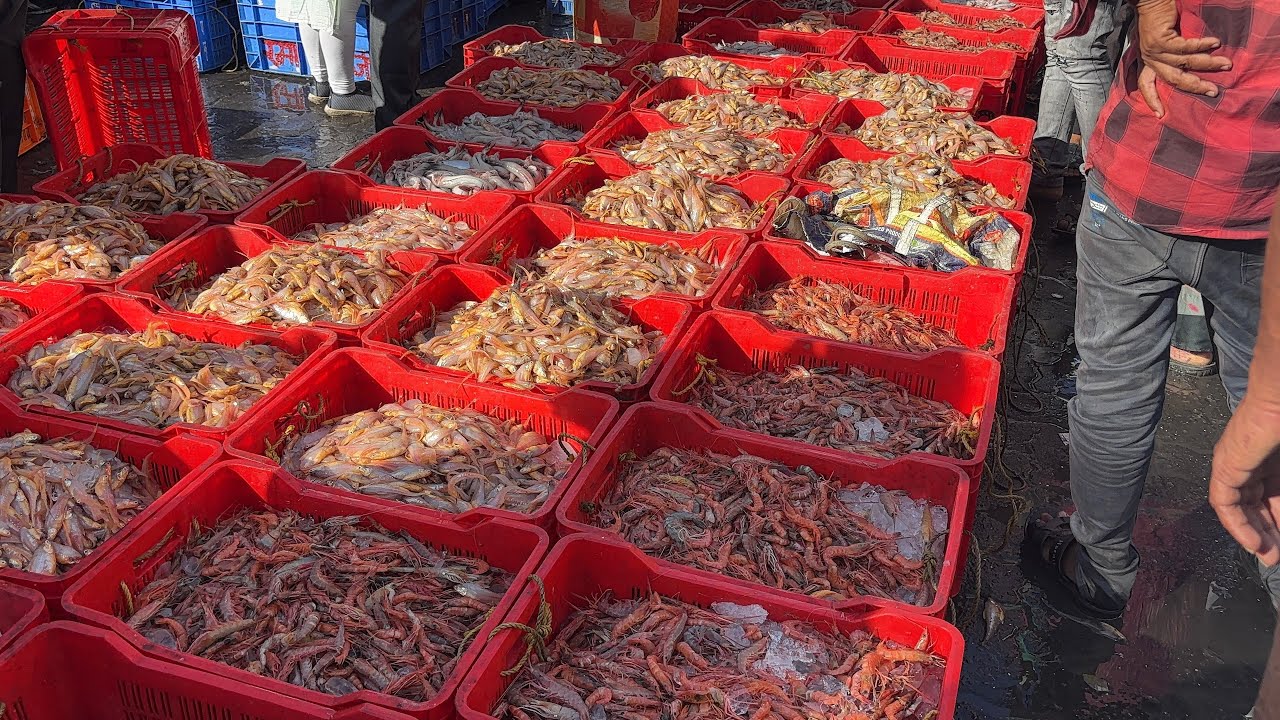 Malad Fish Market Latest Update 25 October 2025 | Macchi Market Cheapest wholesale & Retail