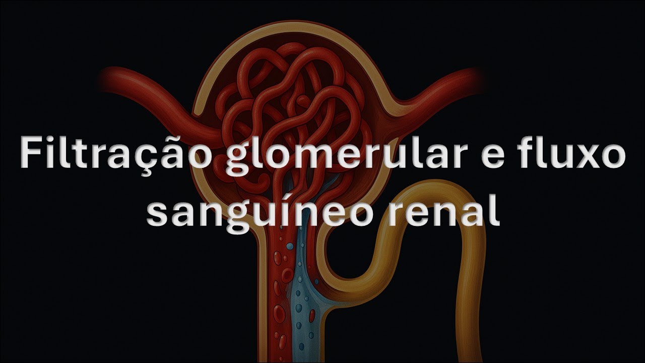 Filtração glomerular e fluxo sanguíneo renal - Fisiologia Humana