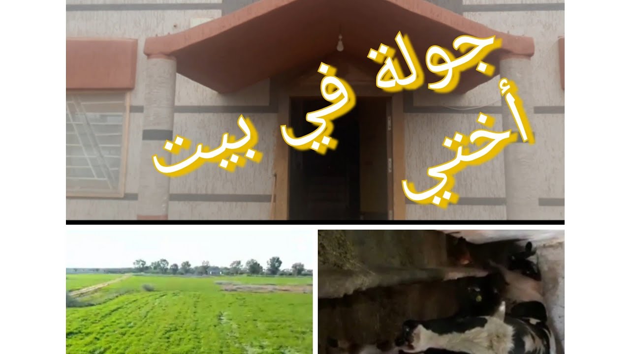 يوم رائع في البادية🐄🐑🌳دويرة في منزل أختي 🏘بنتي ما بغاتش ترجع لفاس 😊