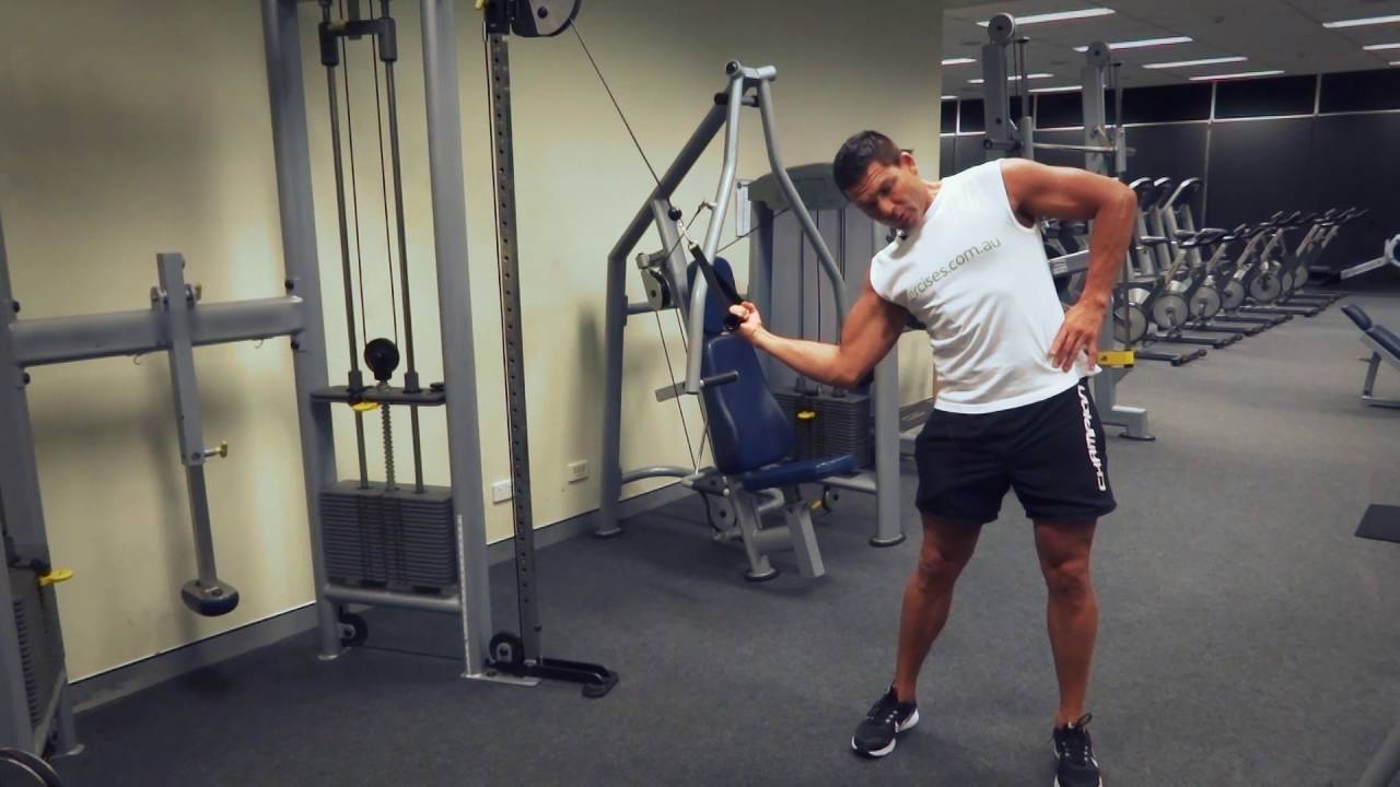 Standing Oblique Cable Crunches (Exercises.com.au)