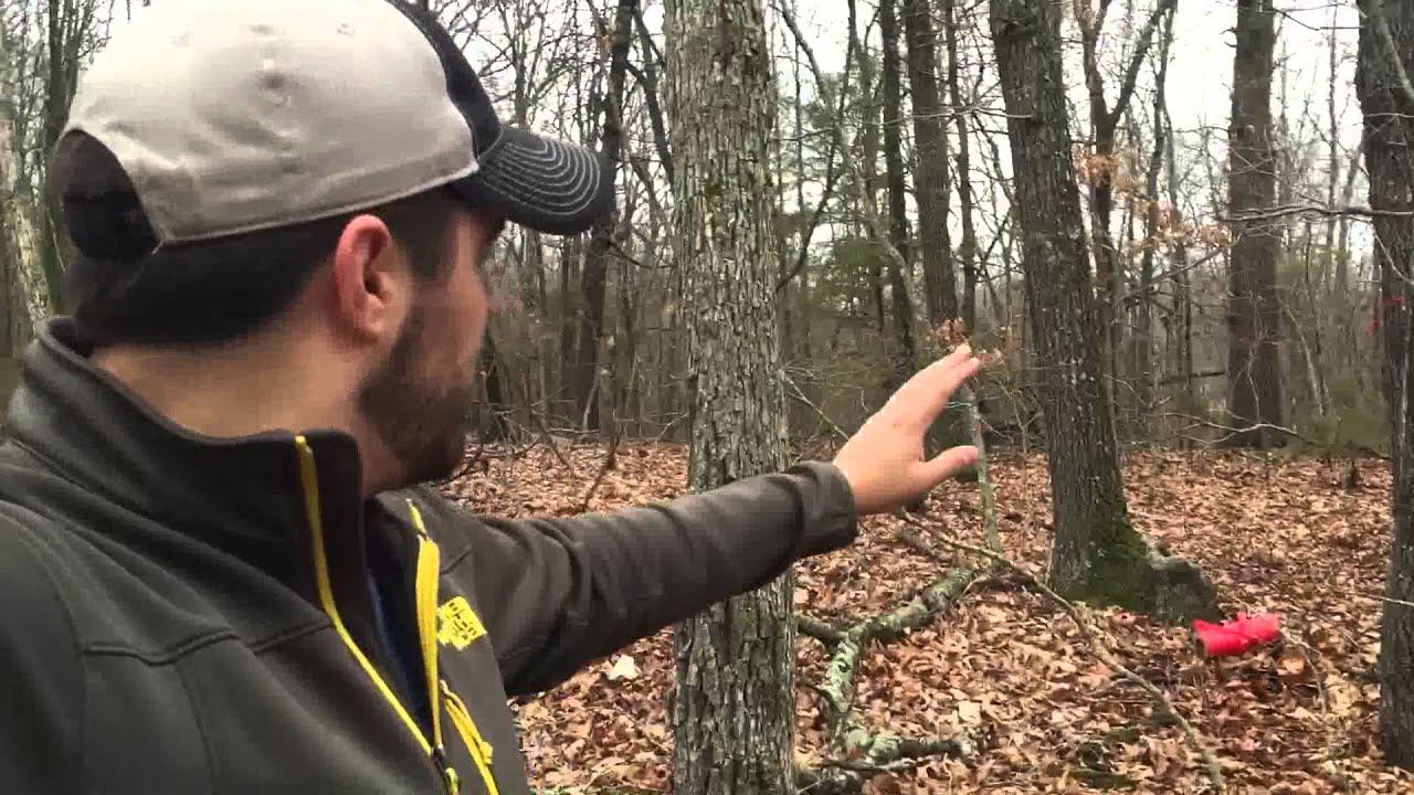 Clearing Timber for a new Food Plot : S7 #3