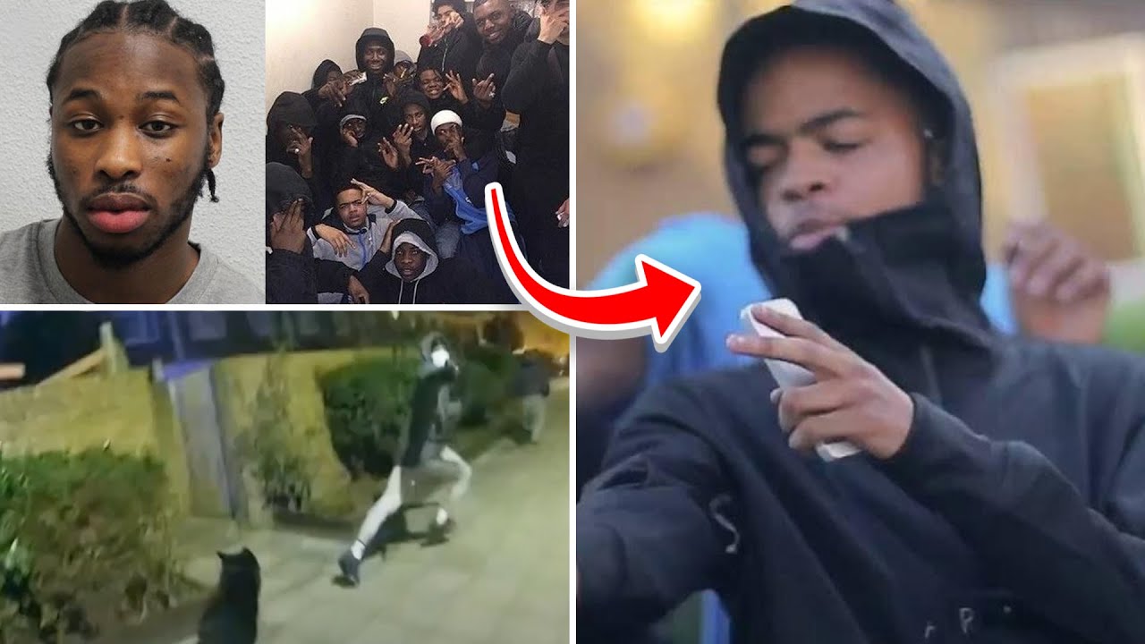 The Tragic Rise and Fall of Harlem Spartans