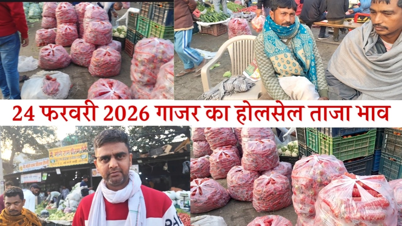 24 फरवरी 2026 गजर का होलसेल ताजा भाव शोप नो 11