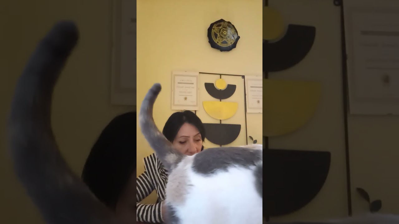 Răul făcut intenționat se plătește.Regretele sunt prea târzii.Joaca a ajuns prea departe#tarot#viral