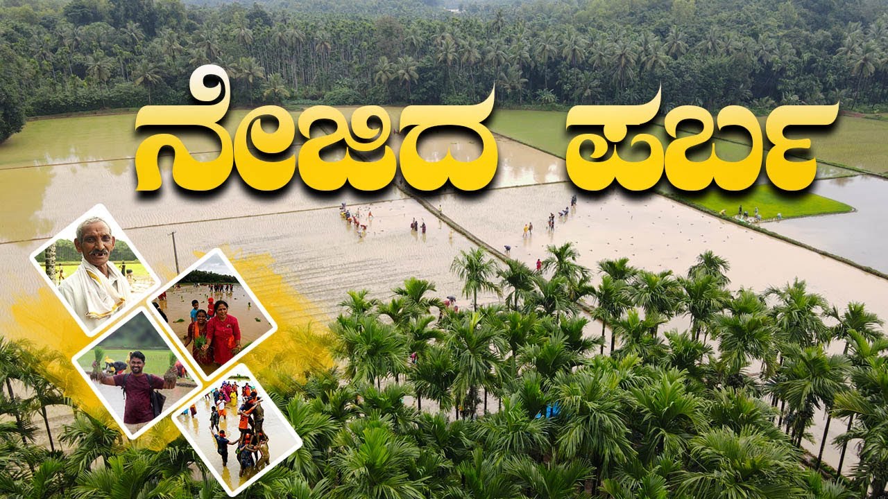 Neji da Parbha | ನೇಜಿದ ಪರ್ಬ 😍 | Durga Kakyapadavu