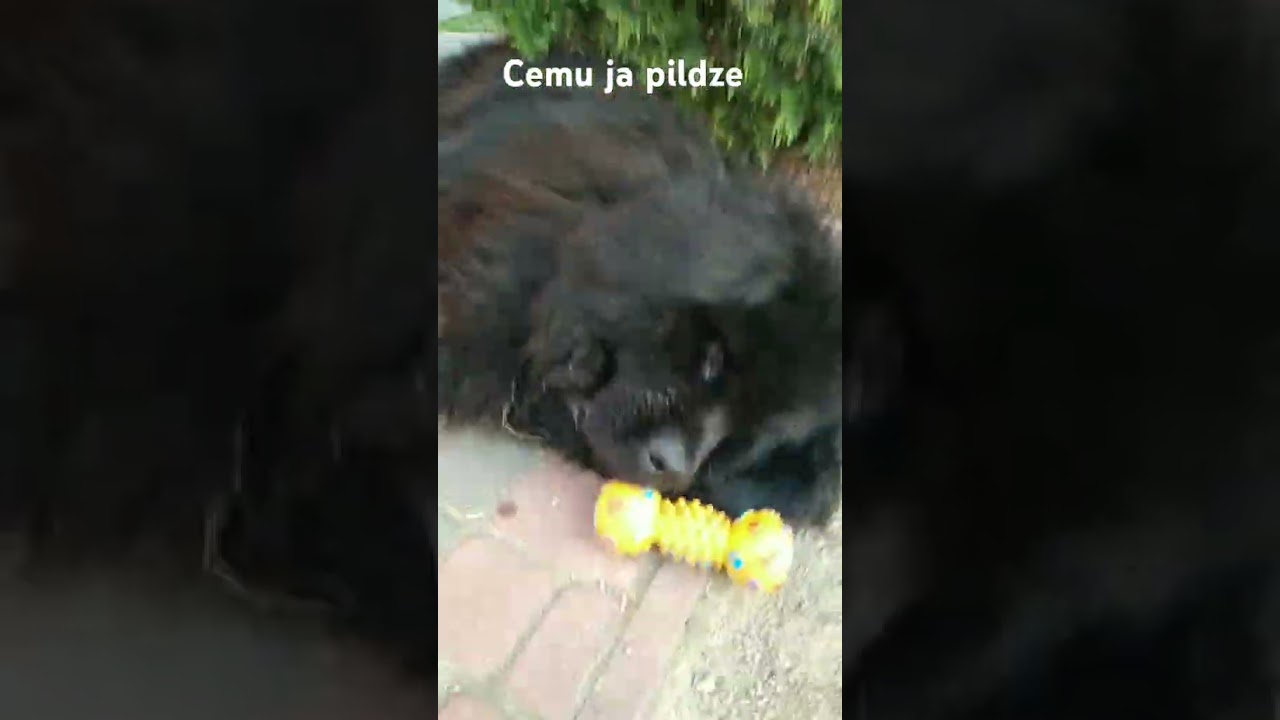 czemu ja  pierdze