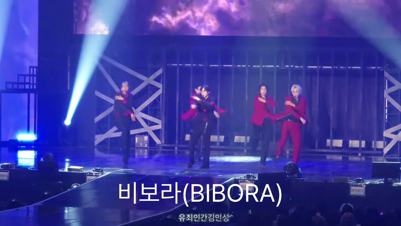 [SF9] 비보라(BIBORA) - 250622 SF9 LIVE FANTASY #5 LOVE DAWN 막콘
