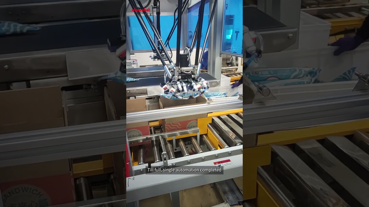 Delta Robot: The Future of Bagged Food Packaging