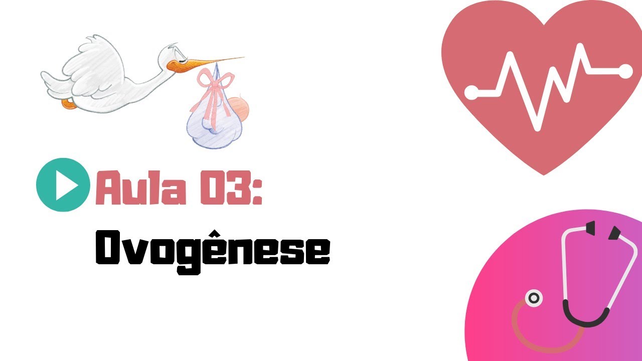 EMBRIOLOGIA HUMANA | AULA 03 | OVOGÊNESE/OOGÊNESE