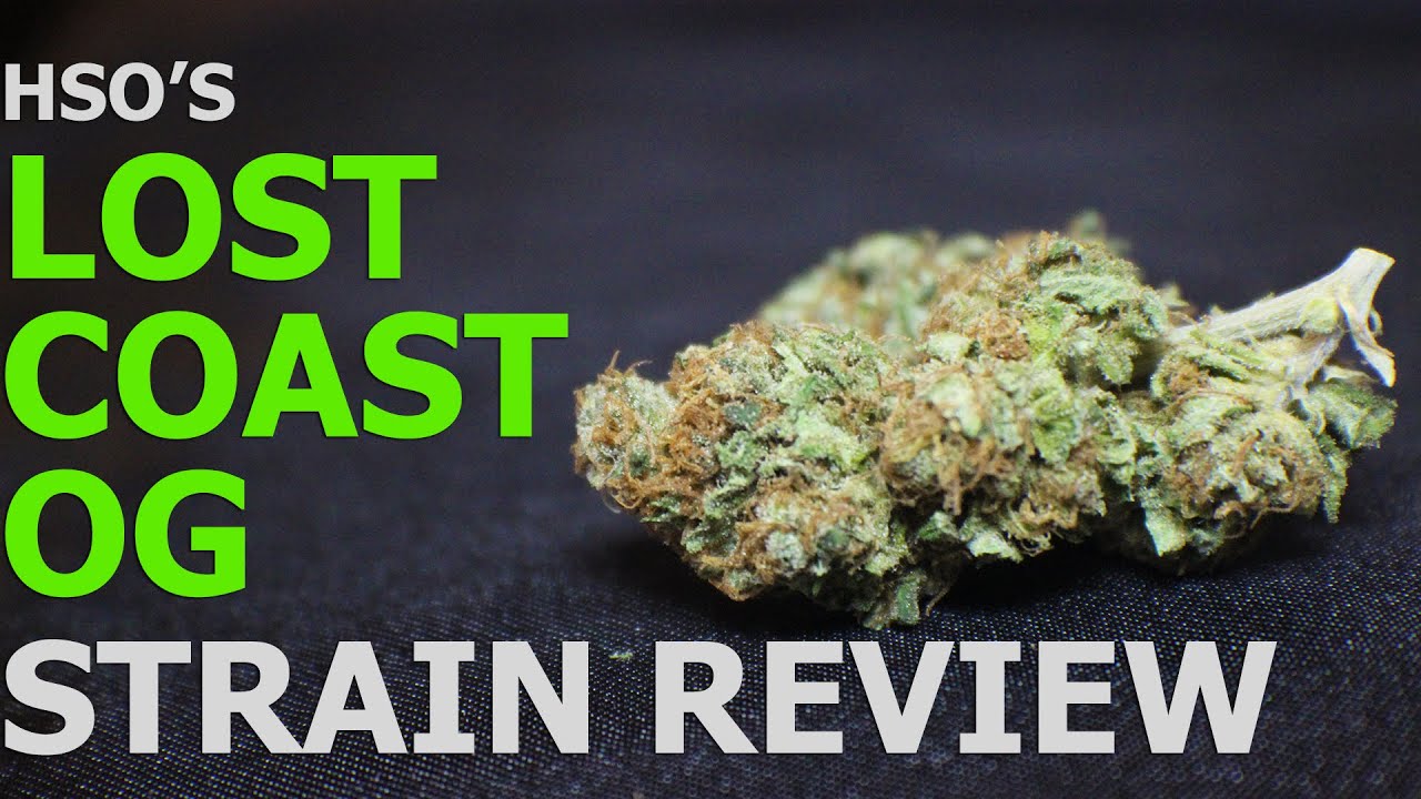 Lost Coast OG Strain Review (Humboldt Seed Organization)