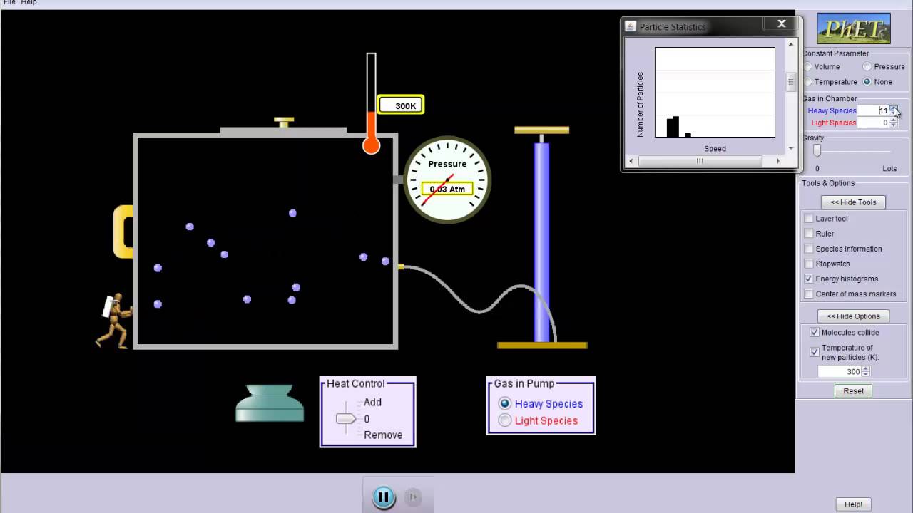 Maxwell Distribution of Speed in a Gas