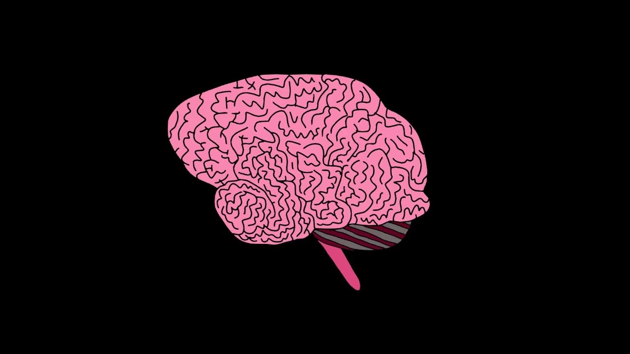The Political Mind