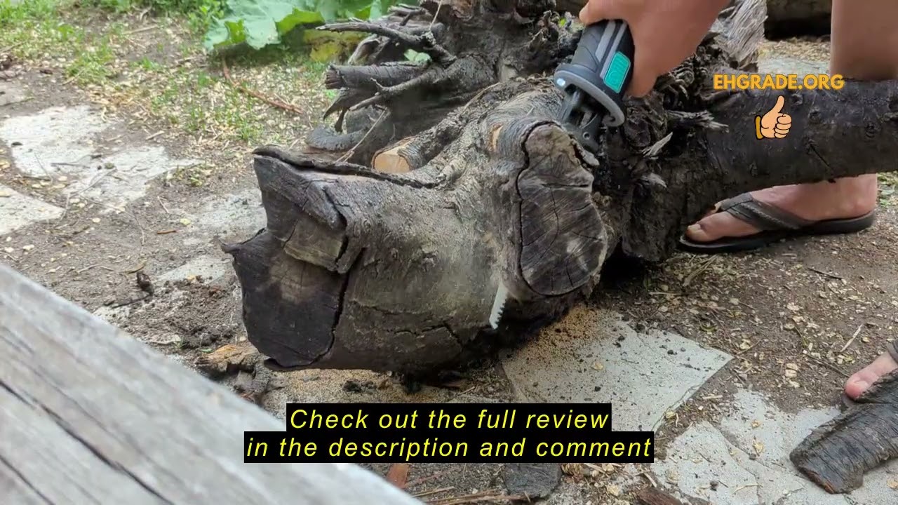 Review Litheli Reciprocating Saw Cordless, Powerful Hand Saw Kit with 20V 4.0 Ah Battery & Fast Char