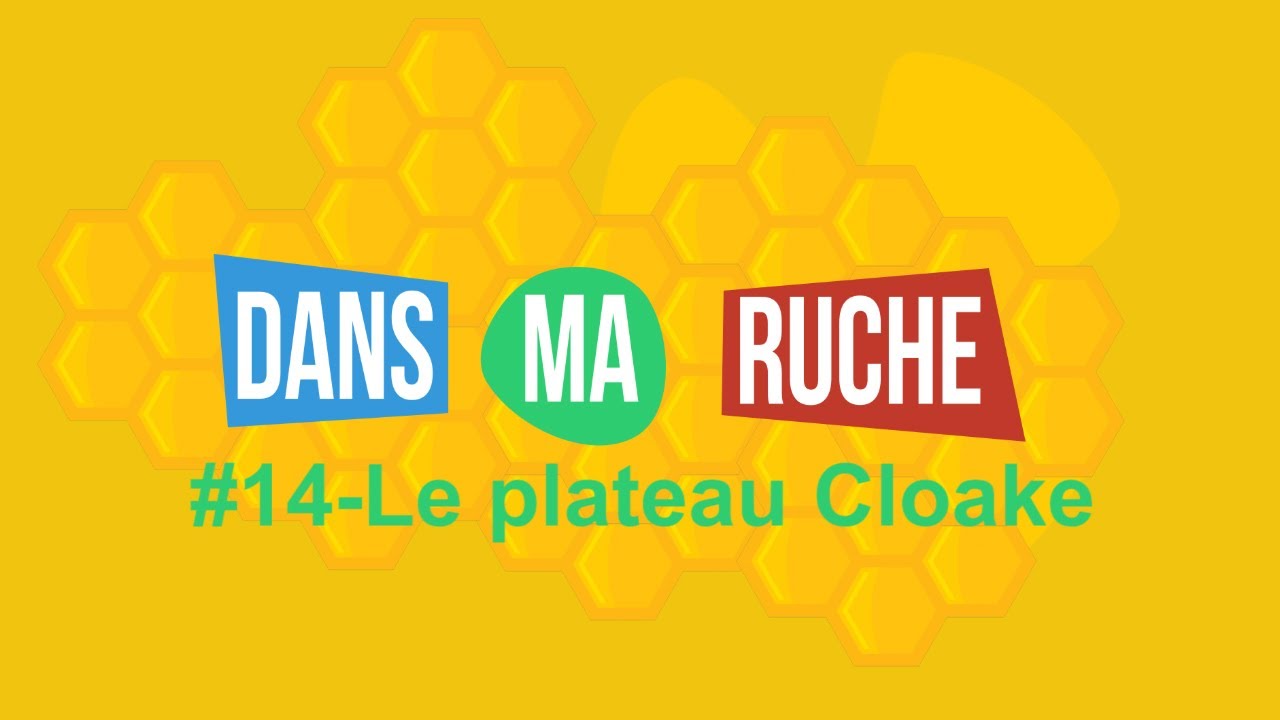 #14- Le plateau Cloake