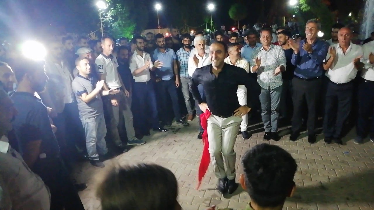 Hask&ouml;y muş  koceri