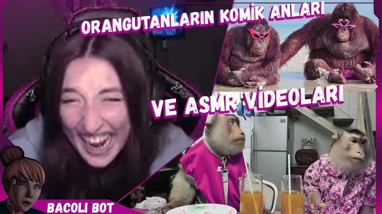Pqueen - Orangutanların ASMR Videoları ve Komik Anlarını İzliyor