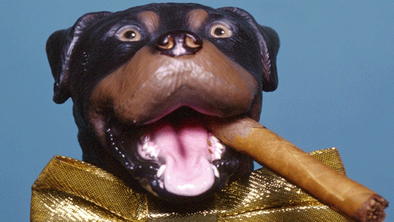Triumph the Insult Comic Dog - Live at the Bowery Ballroom - 2003