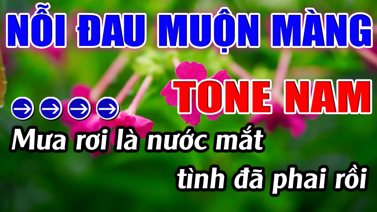 Nỗi Đau Muộn Màng Karaoke Tone Nam ( Am ) Karaoke Lâm Beat - Beat Mới