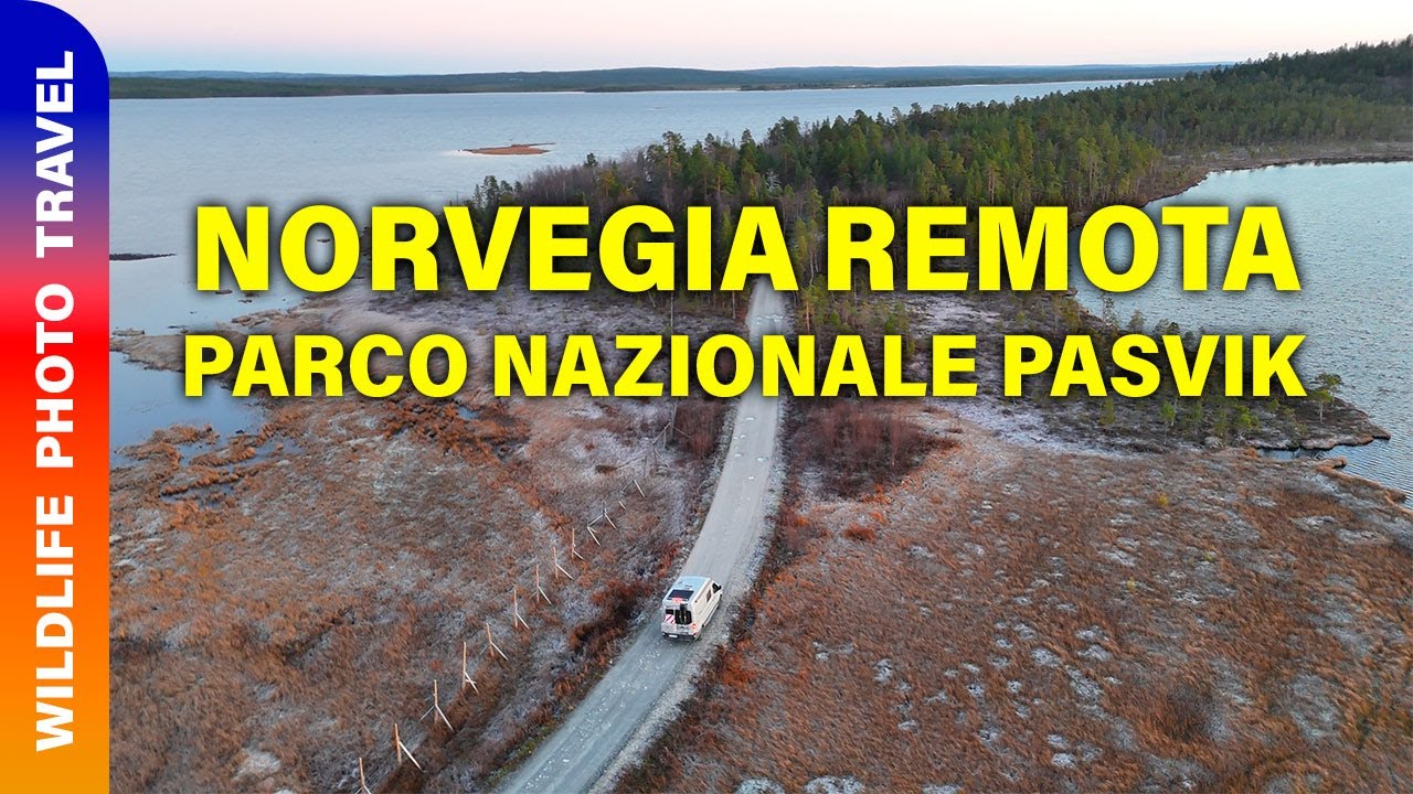 Da soli nella Norvegia più remota nel parco nazionale di Pasvik all'inizio dell'inverno