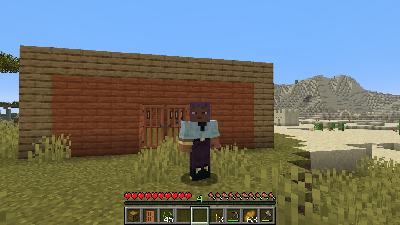 my first minecraft house