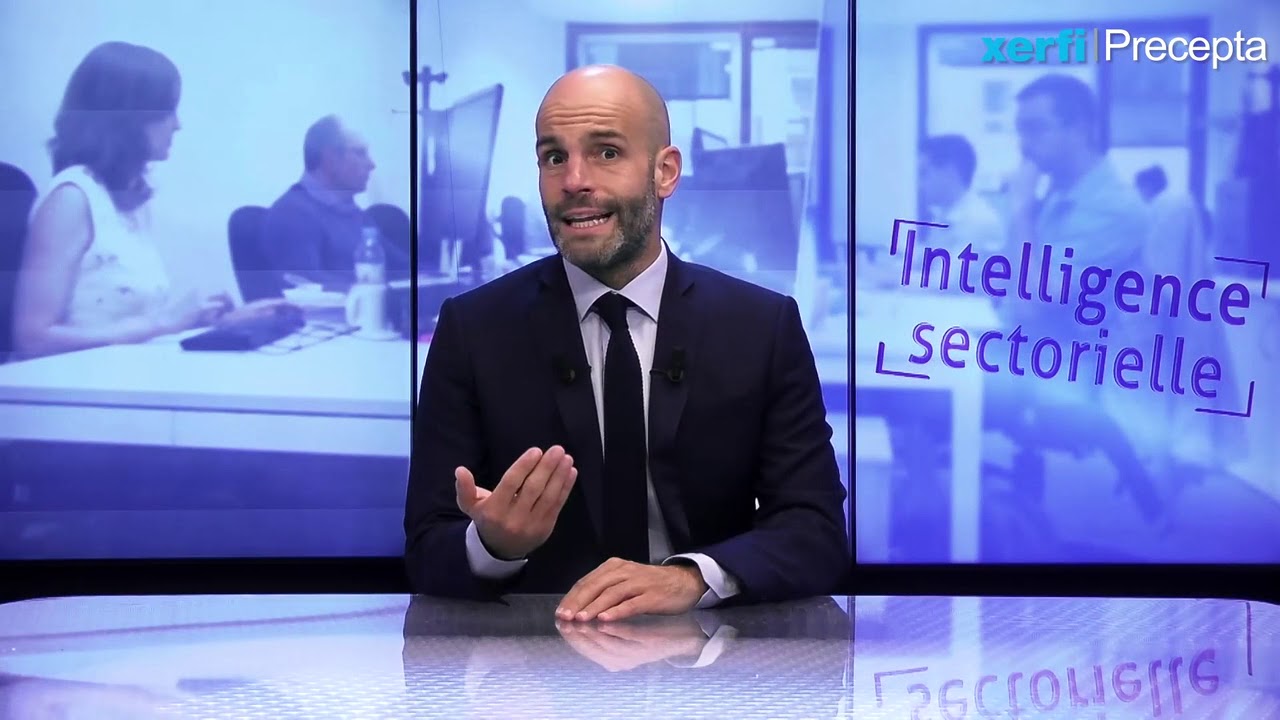 Les strat&eacute;gies de conqu&ecirc;te sur les march&eacute;s de l'assistance [Philippe Gattet]