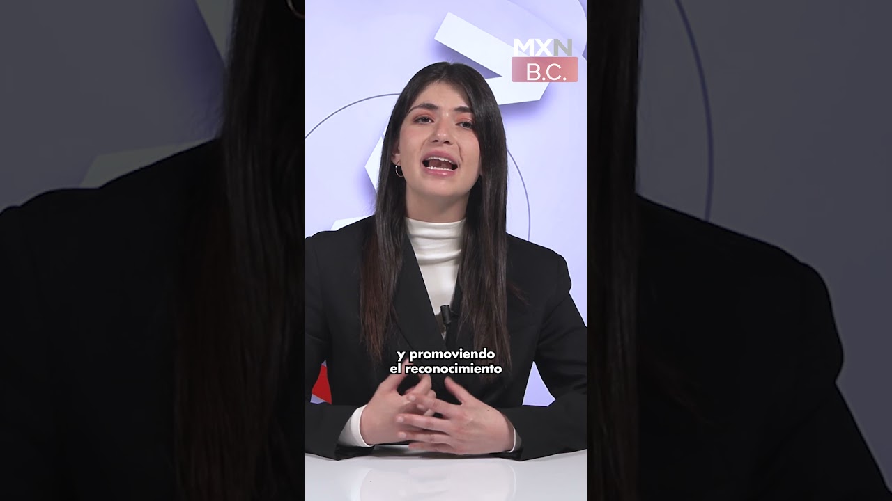 🇺🇳Vigilar&aacute; Violaciones a #derechoshumanos. #eleccionesmexico  #noticiasmexico  #informativomxn