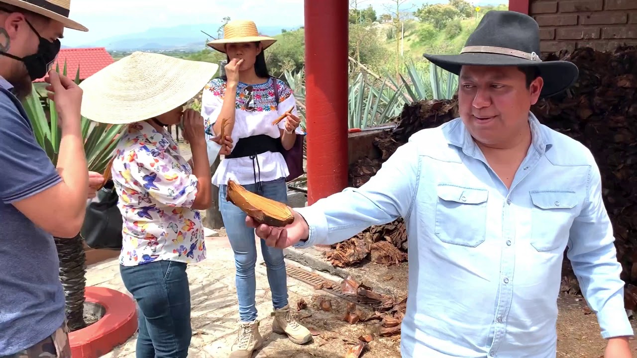 Aprendiendo cómo se hace el mezcal artesanal, Oaxaca 8 de octubre del 2020