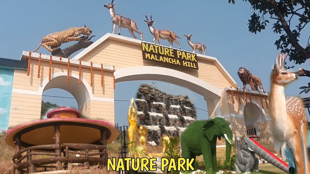 New park ma malancha hill ♥️ Nature park malancha hill nala jamtara jharkhand open ho gya park 💞