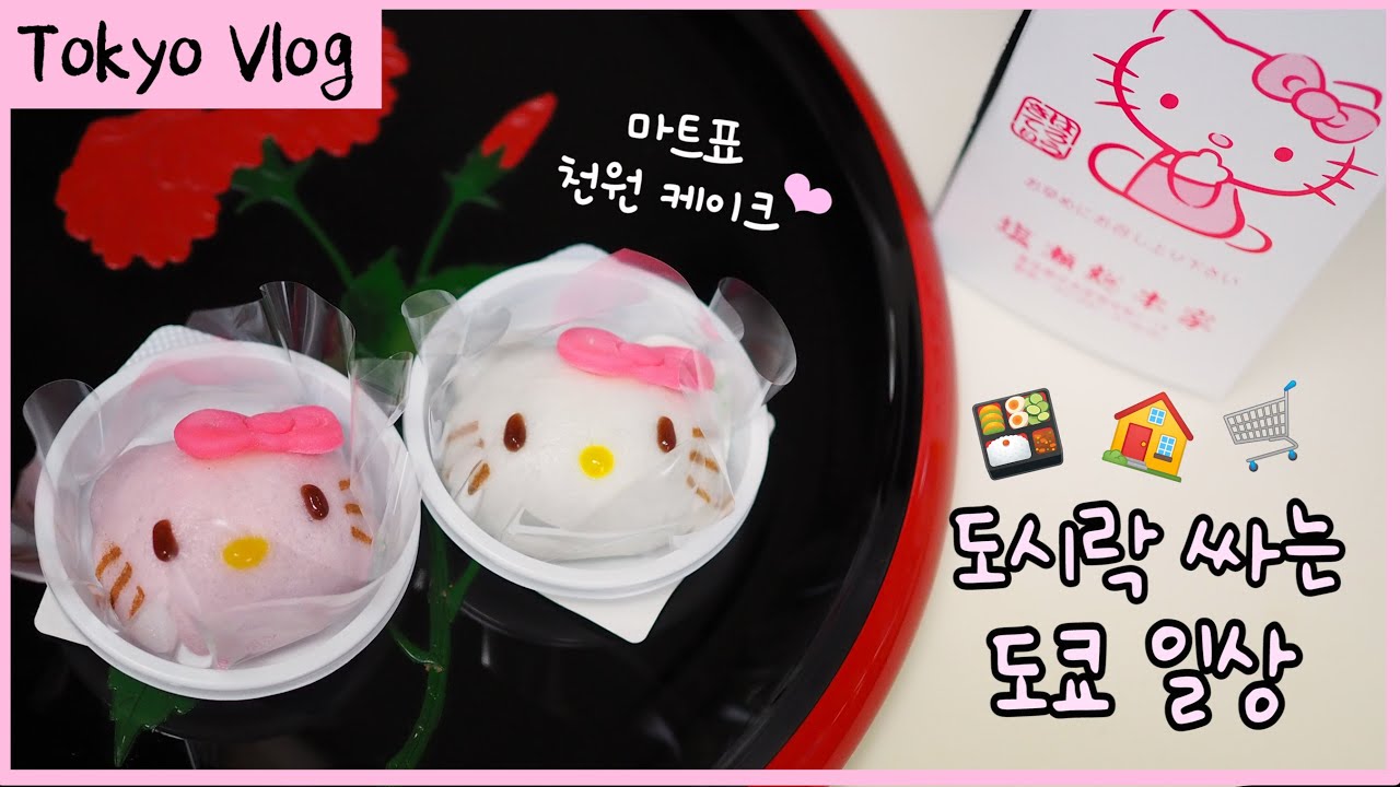 SUB) Tokyo vlog🗼Land tour to build a house in Tokyo. Unboxing, shopping and daily bento, home meals