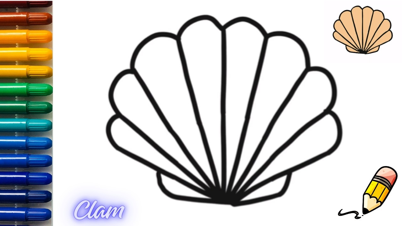 How to draw a clam//drawing a Clam with easy step by step video for beginners.