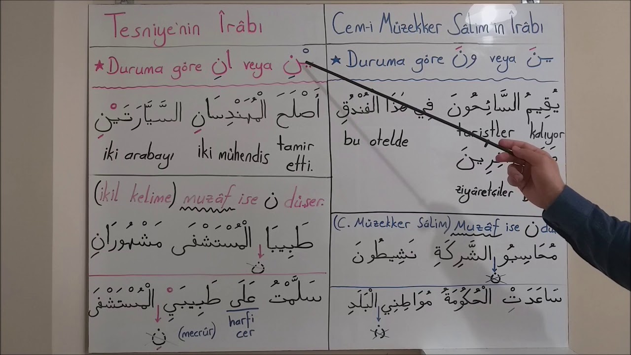 Tesniye ve Cemi Müzekker Salim 'in İrabı