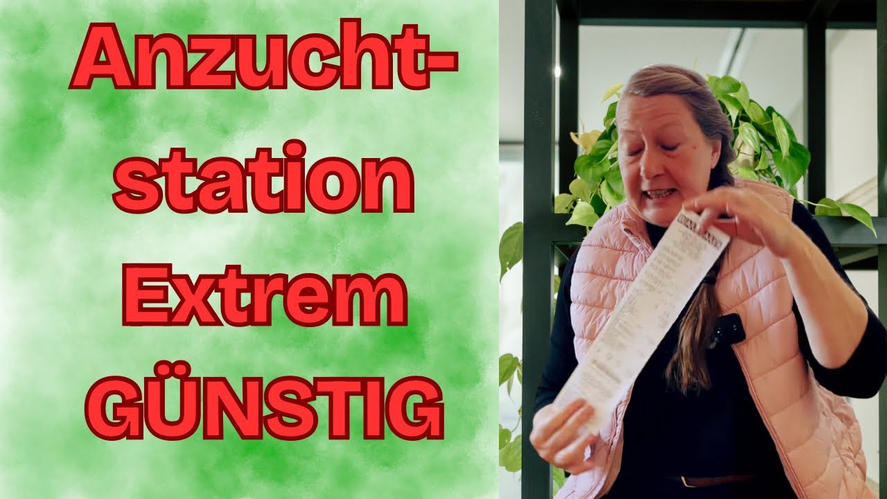 Pflanzenanzucht - SO einfach! : DIY Station unter 30€ + 5 Methoden
