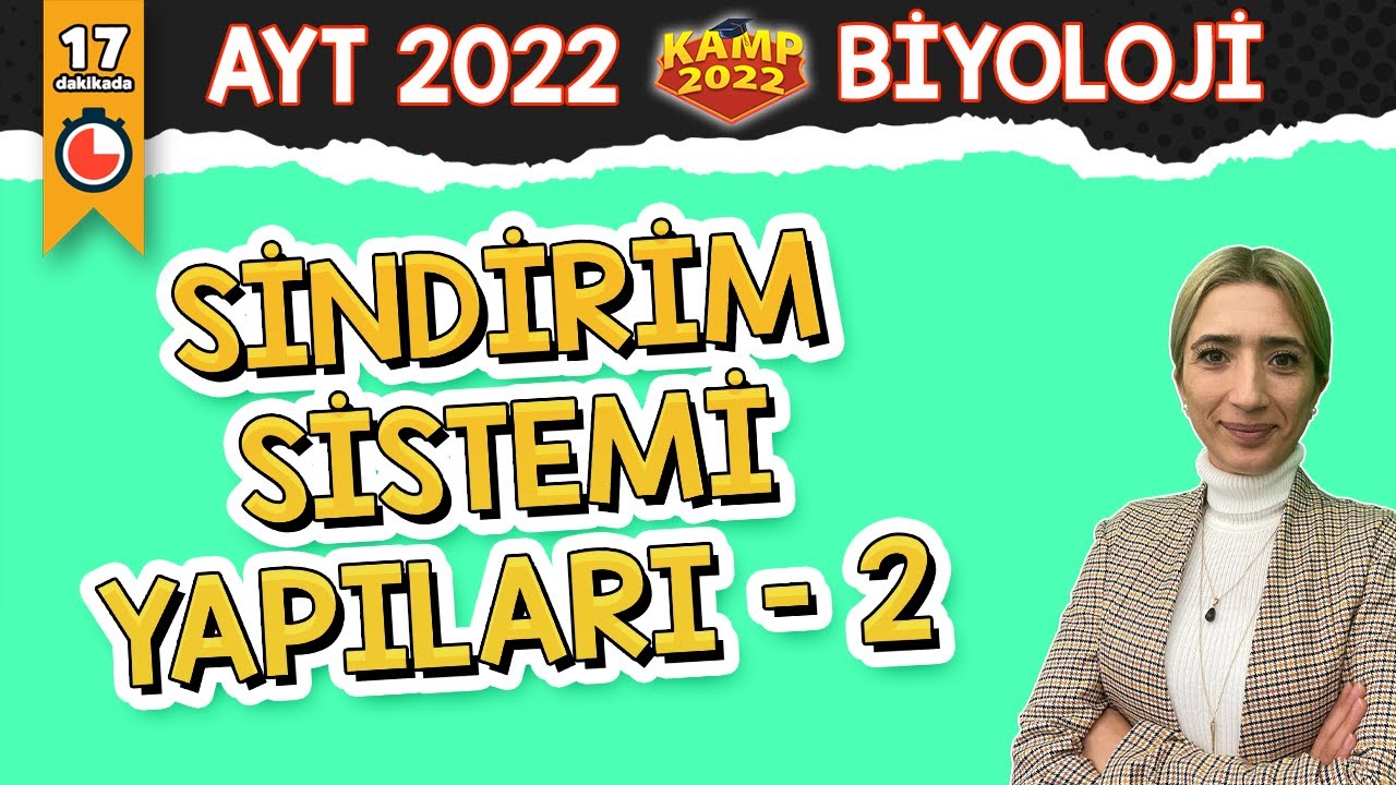 Sindirim Sistemi Yapıları - 2  | AYT Biyoloji #Kamp2022