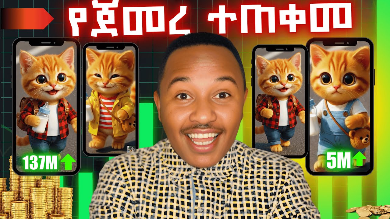 የድመት ቪዲዮችን በAI በመስራት በሶሻል ሚዲያ ገንዘብ መስራት አሁኑኑ ጀምሩ!