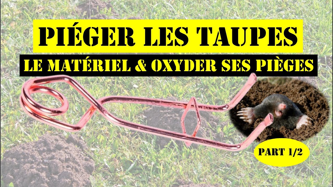 Piéger les taupes. (partie 1/2 : le matériel & oxyder ses pièges rapidement)