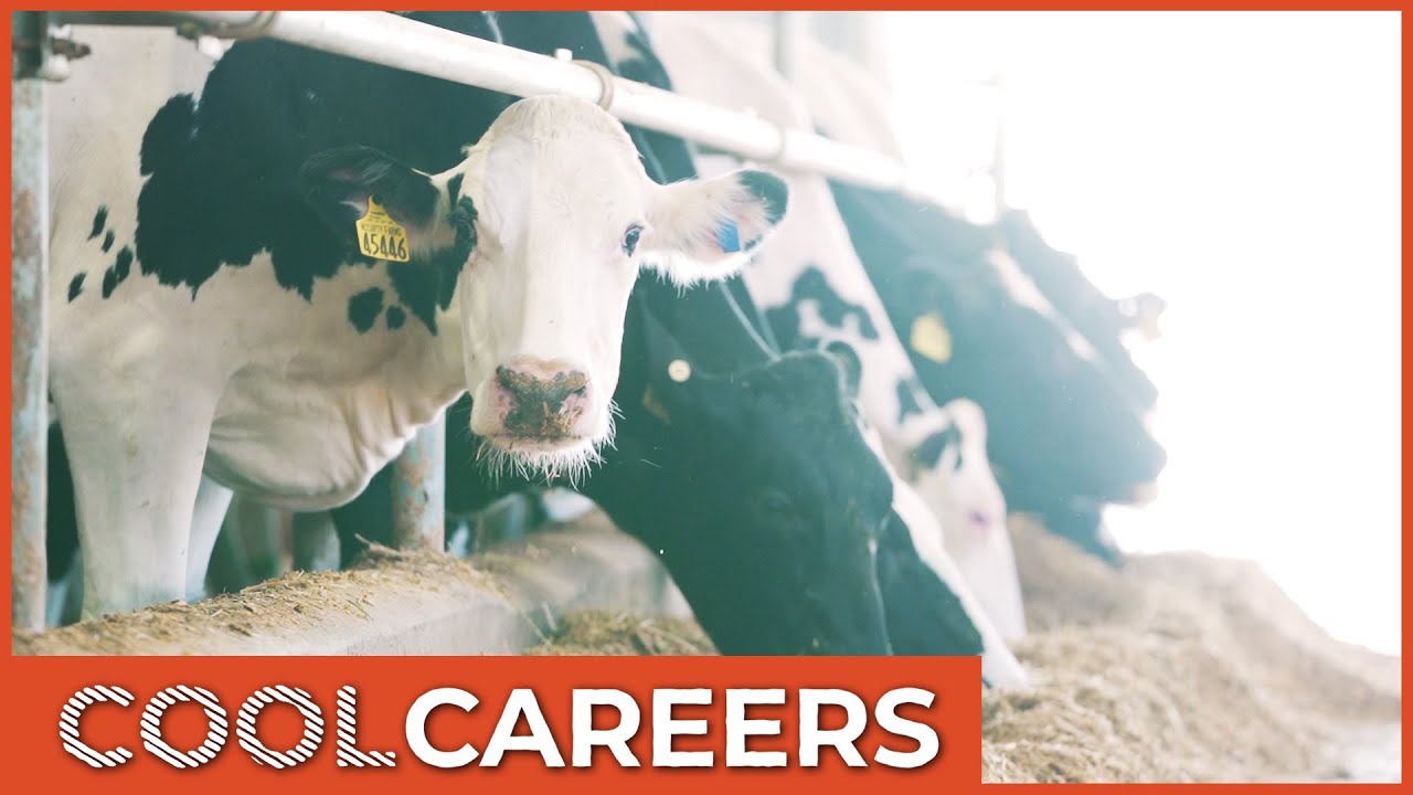 Cool Careers - Episode 16: Dairy Farmer