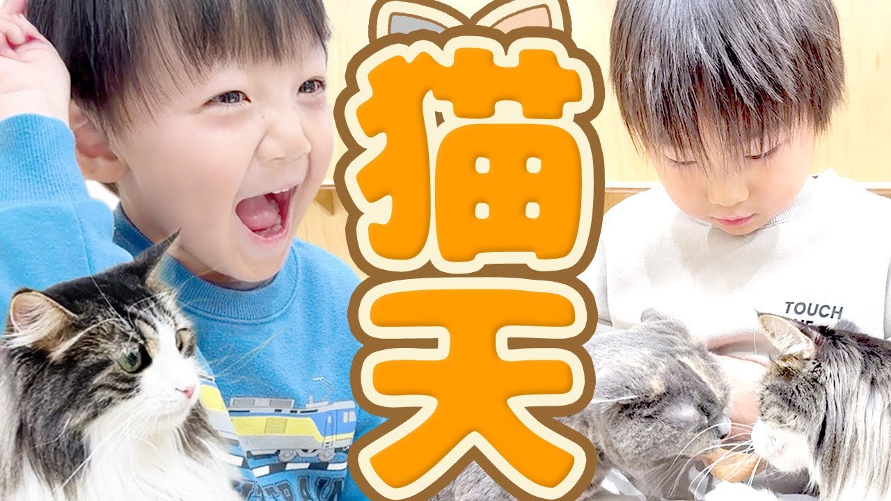 えっ！我が家に雪！？動物園行こうと思ってたのに。。。描種迷い過ぎる！娘はエキゾチックショートヘア推し！7才児(小学校1年生)男女双子＆4才児(年少)末っ子の雪の日の休日