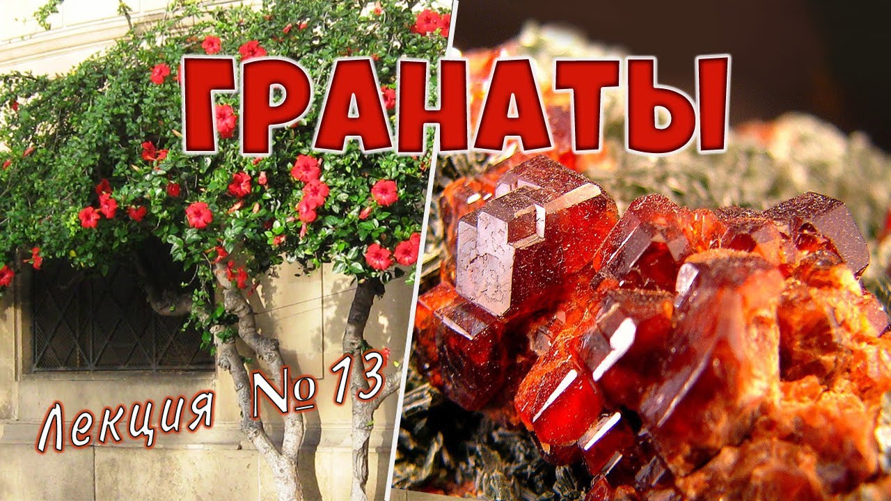 Минерал гранат. Лекция профессора Спиридонова. Камневеды лекция №13.