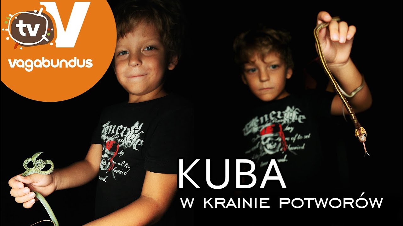 Kuba opowiada o zwierzętach spotkanych nocą w dzunglii