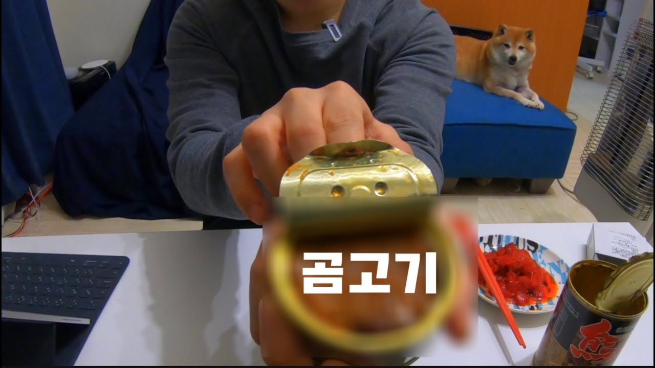 삿포로 직장인 Vlog I 곰고기 통조림을 먹어 봤습니다. I 일본직장인 Vlog