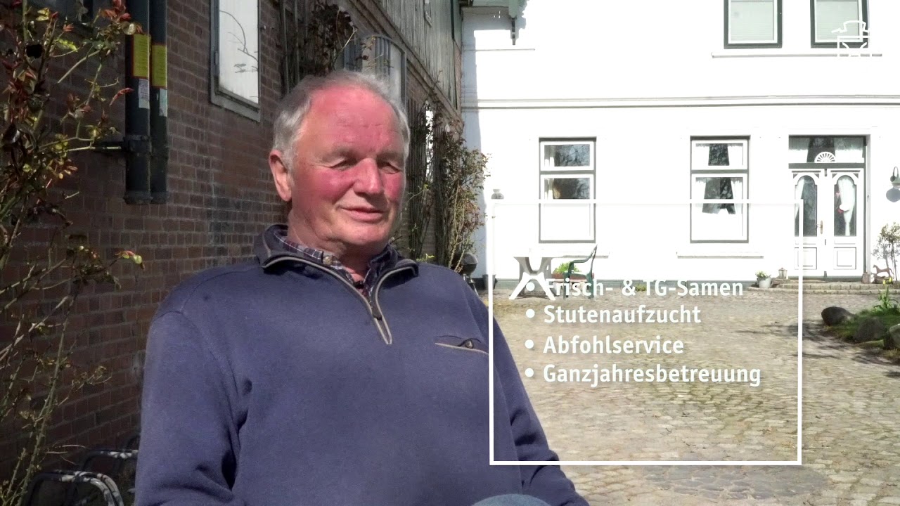 Holsteiner Hengststation - Kattrepel