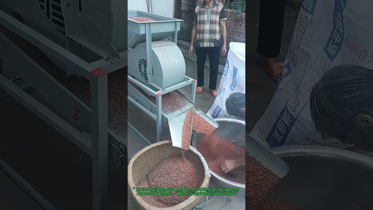 Wind Winnowing 2.0: Auto Grain Machine Sorting Sorghum in 60 Sec!