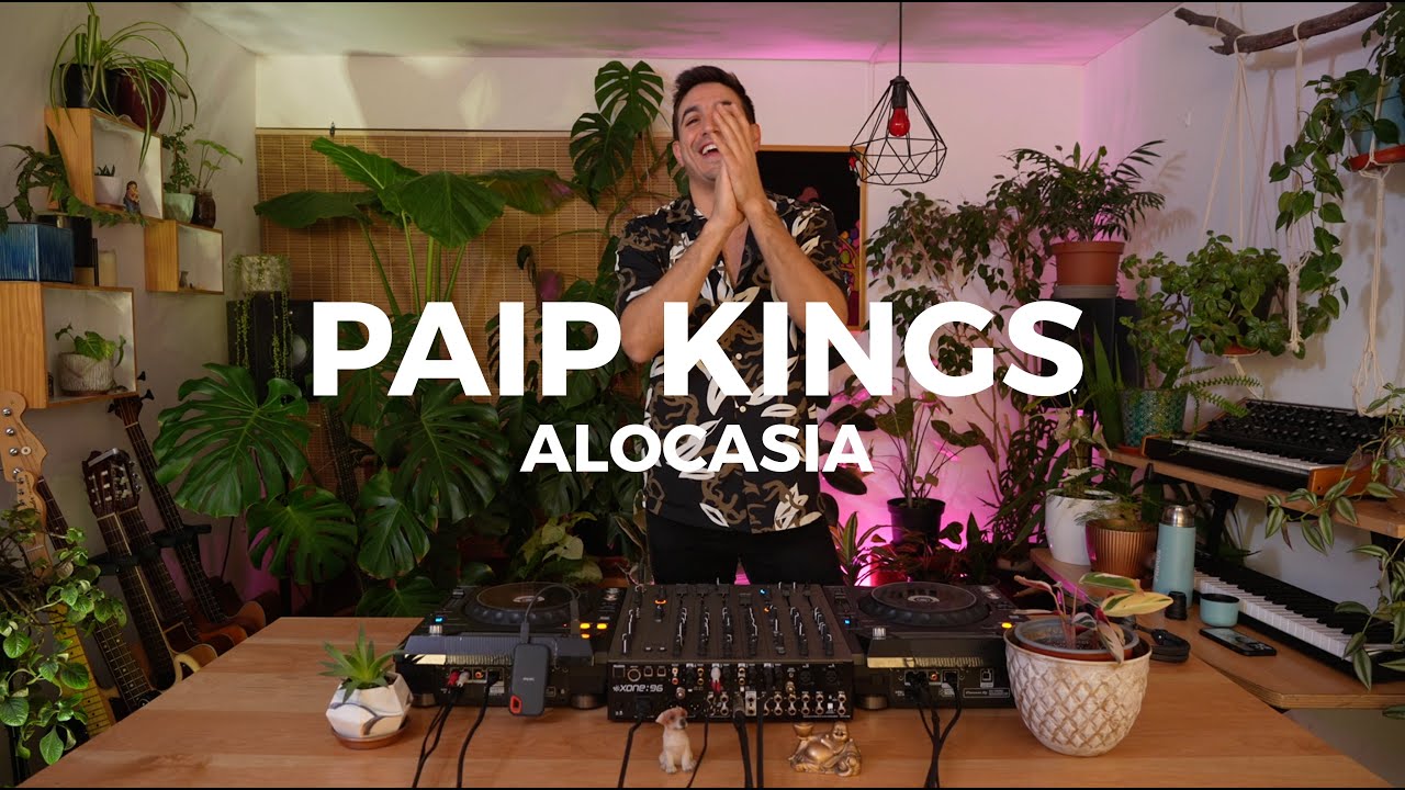 Alocasia TV Santiago - Paip Kings [Dj Set] #house #minimal #deeptech