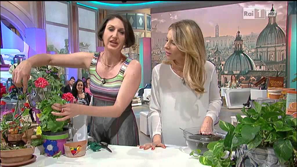 Come avere un balcone creativo - Lucia Cuffaro a Unomattina in Famiglia