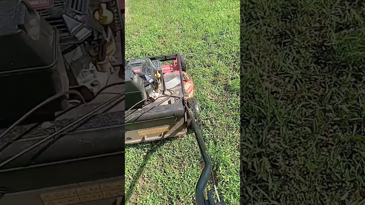 turfmaster hdx