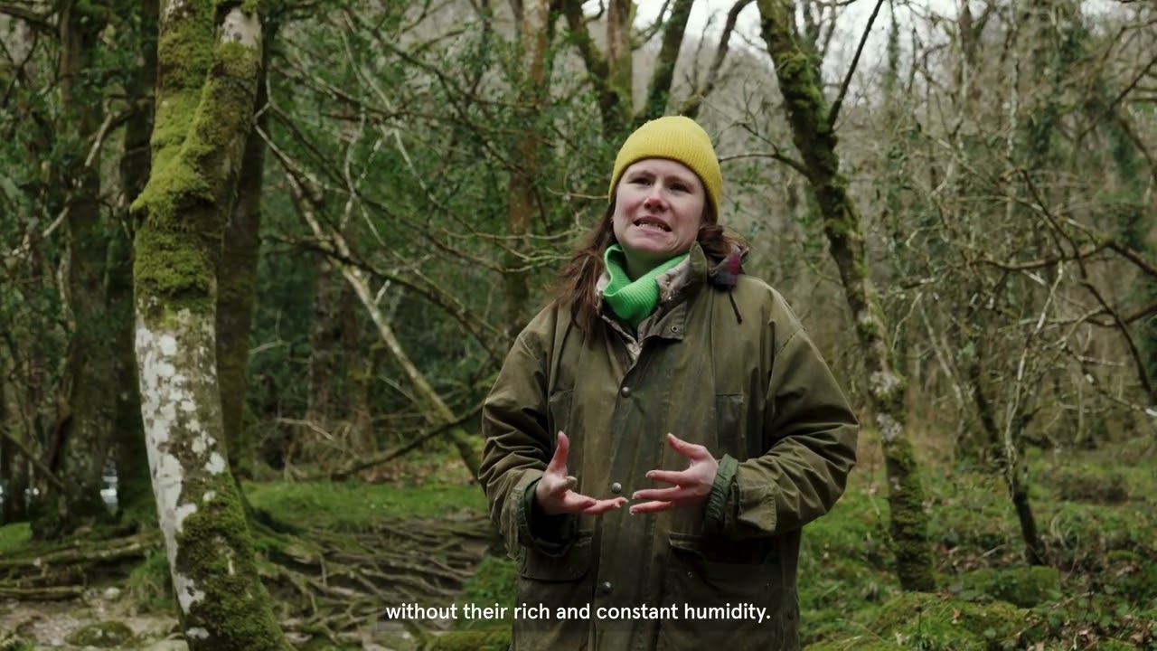 Project Giving Back | The Wildlife Trusts British Rainforest Garden Ep1