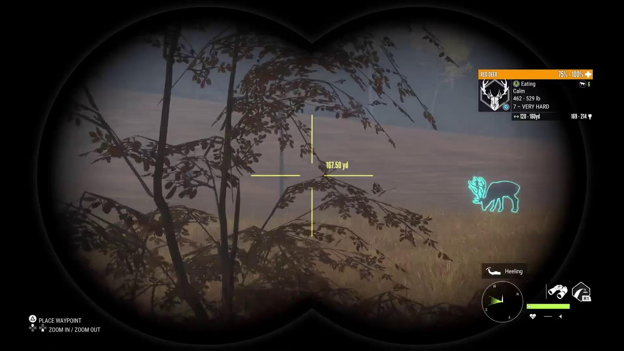 Ps5 Call of the wild- Runner Gunner Mission Hunter