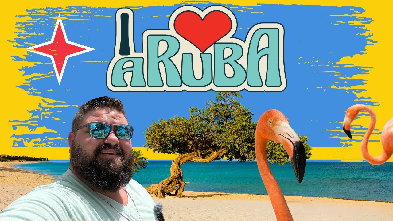 Experience Aruba's Cruise Port in a Day of Adventure!