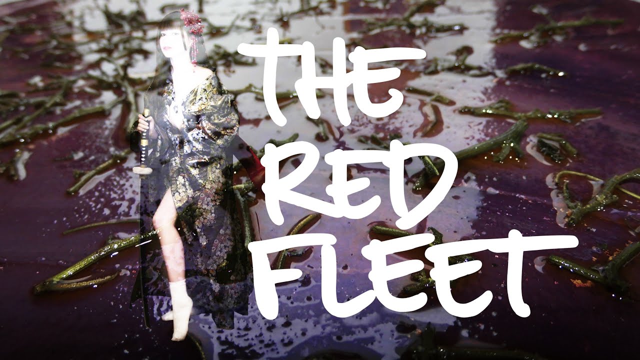 The Red Fleet - Rosa Luxemburg and Socialism in the 21st Century